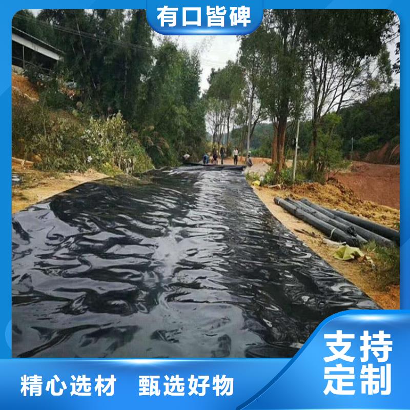 土工膜【玻纤土工格栅】厂家实力大