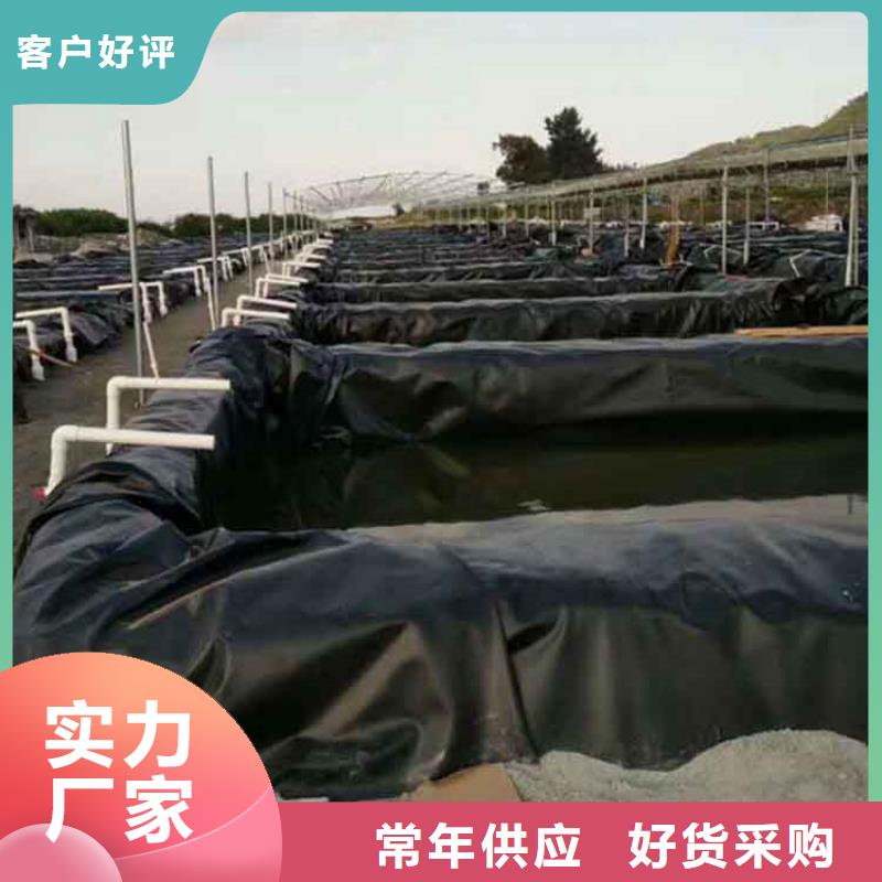 HDPE防渗膜-渠道土工膜