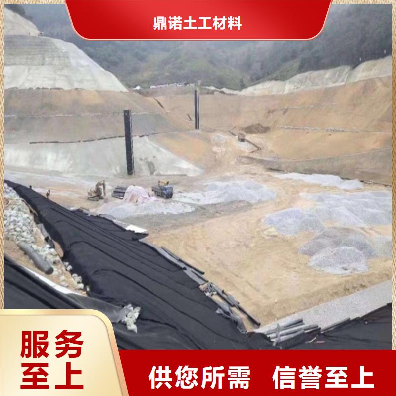 土工膜【玻纤土工格栅】厂家实力大
