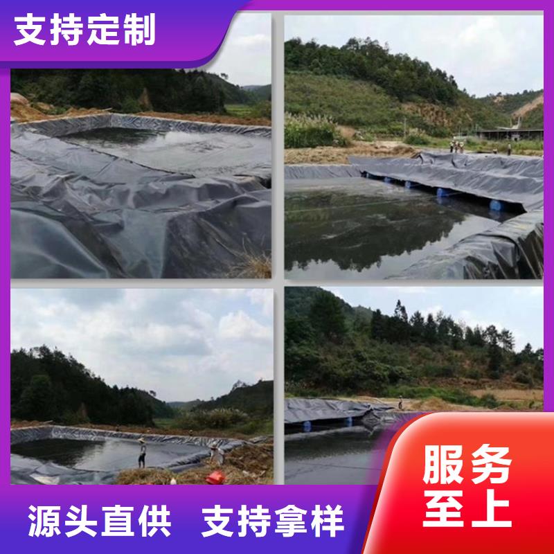 土工膜【玻纤土工格栅】厂家实力大