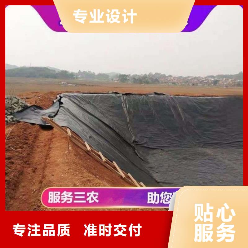 土工膜【玻纤土工格栅】厂家实力大