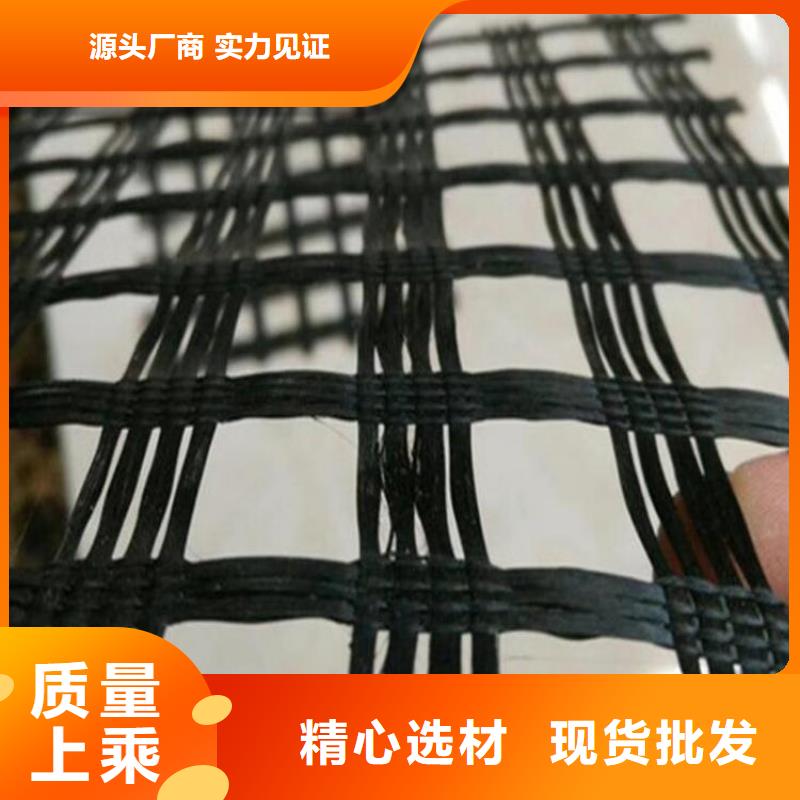 养猪场土工格栅规格形式