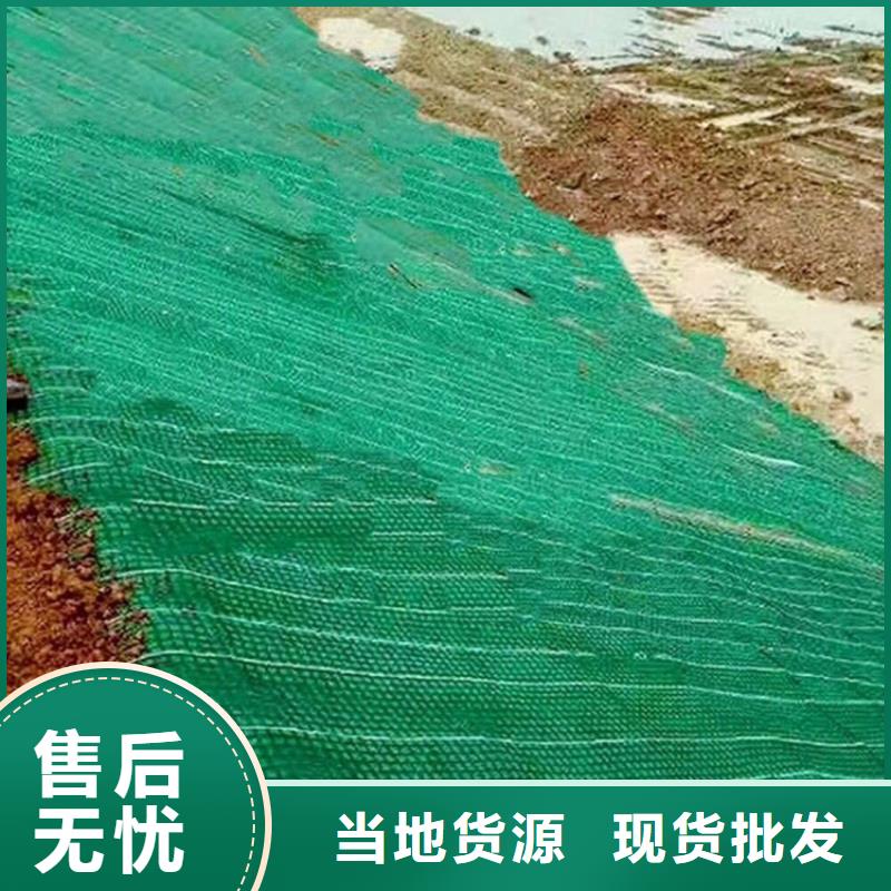 护坡植被植草毯发货快