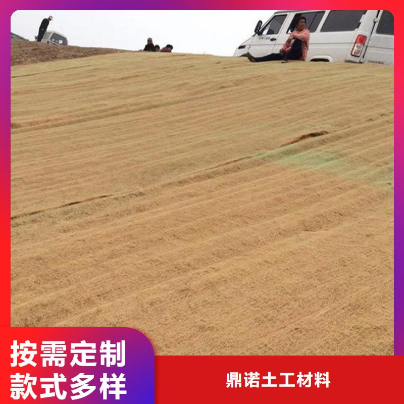 植生椰丝毯-河道护坡椰丝毯