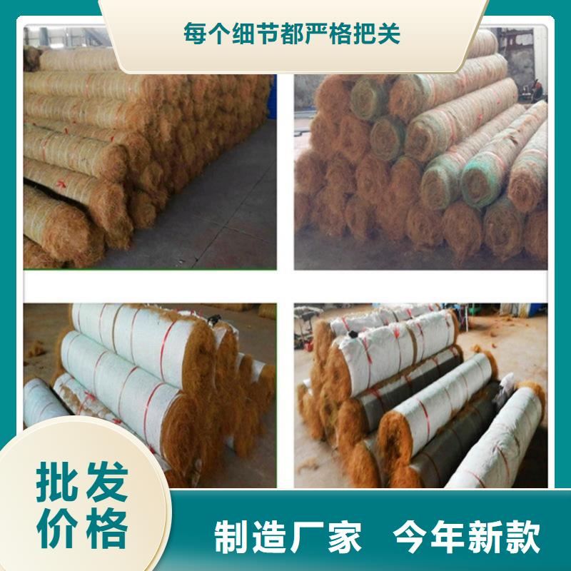 植物纤维毯加筋抗冲生物毯