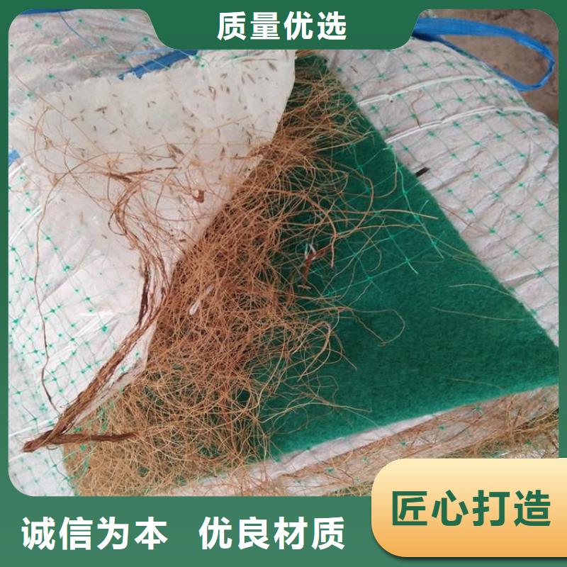 椰丝植生毯-椰纤植生毯-生态草毯