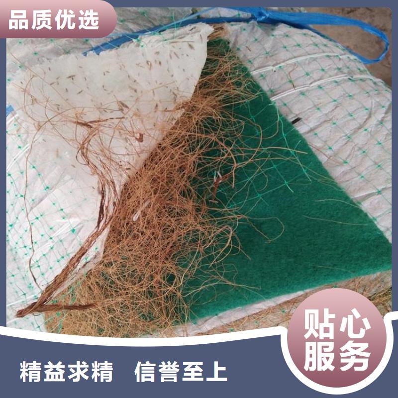 护坡植被植草毯发货快