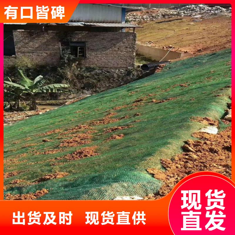 椰丝植生毯-椰丝植生毯-草籽椰丝毯