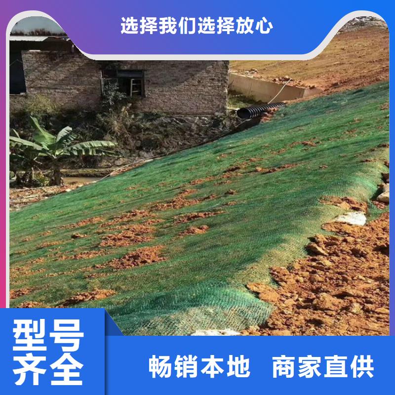 加筋抗冲生态毯直销价格