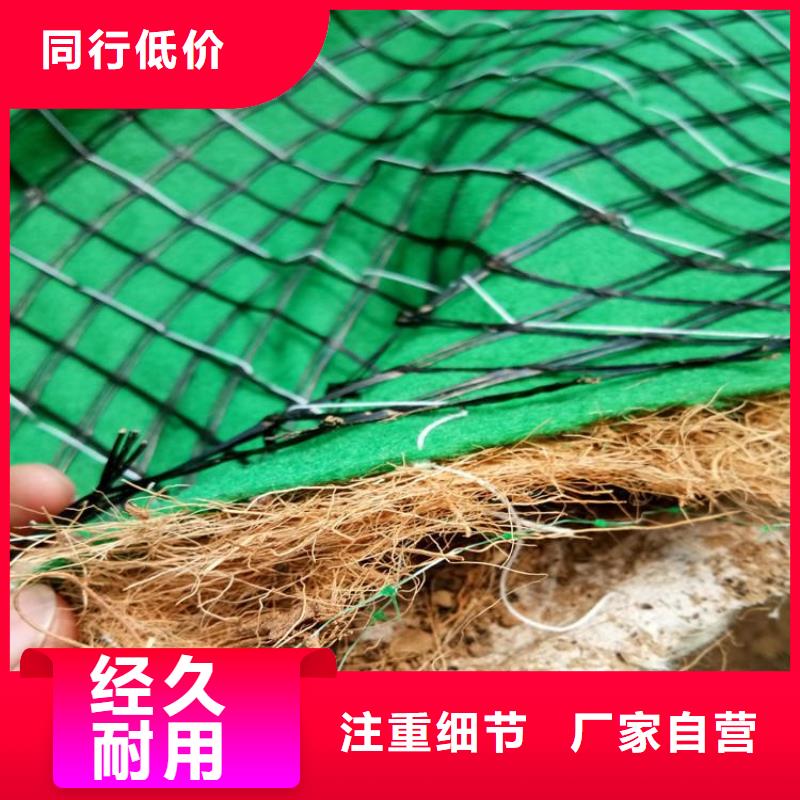 椰纤植生毯-绿化毯
