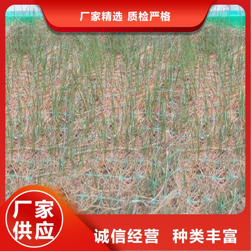 生态环保草毯-椰丝草毯