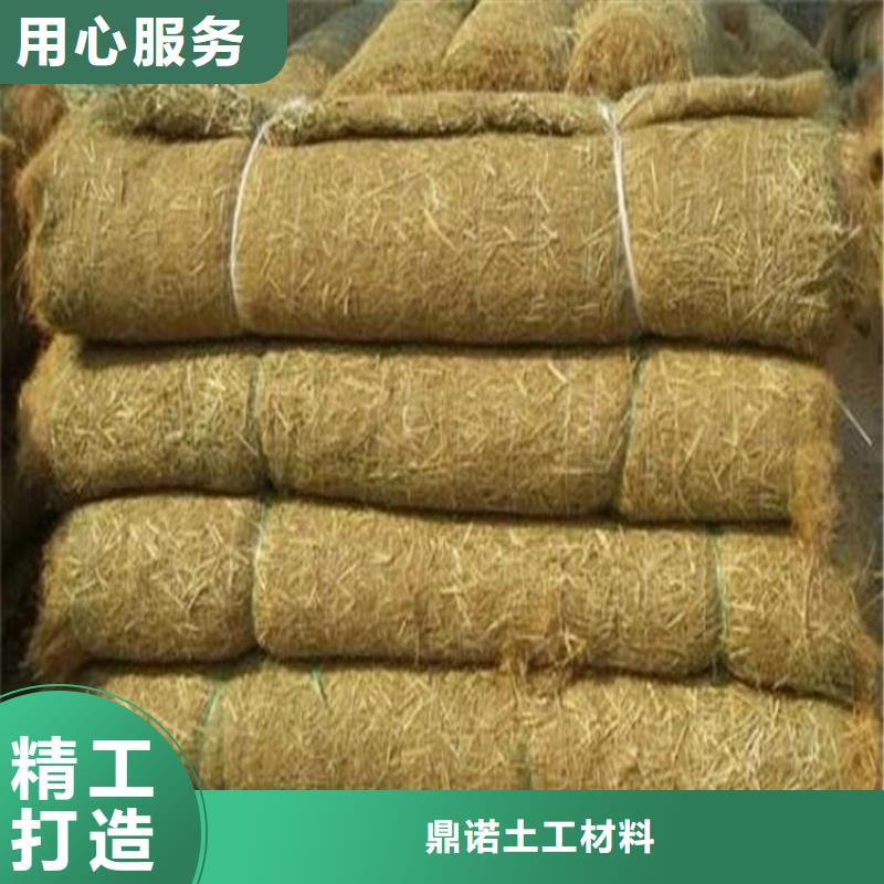 种草毯植物生态毯