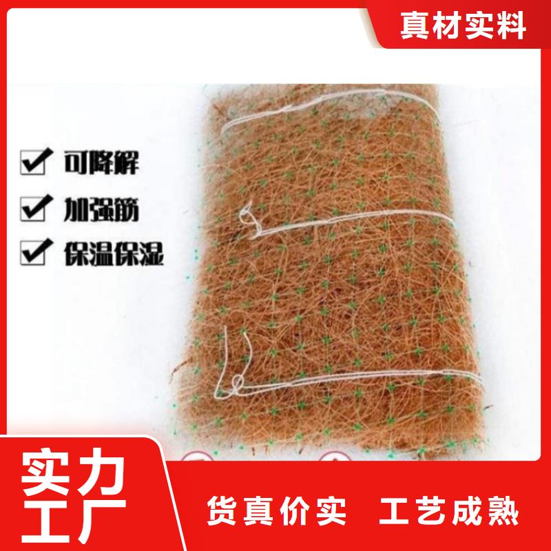 椰丝植生毯-椰丝植生毯-草籽椰丝毯