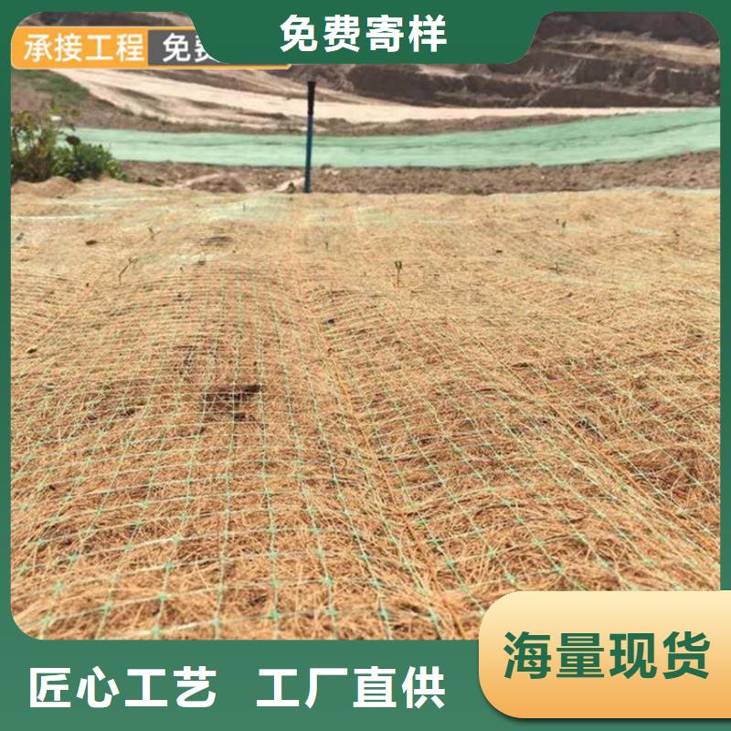 种草毯植物生态毯