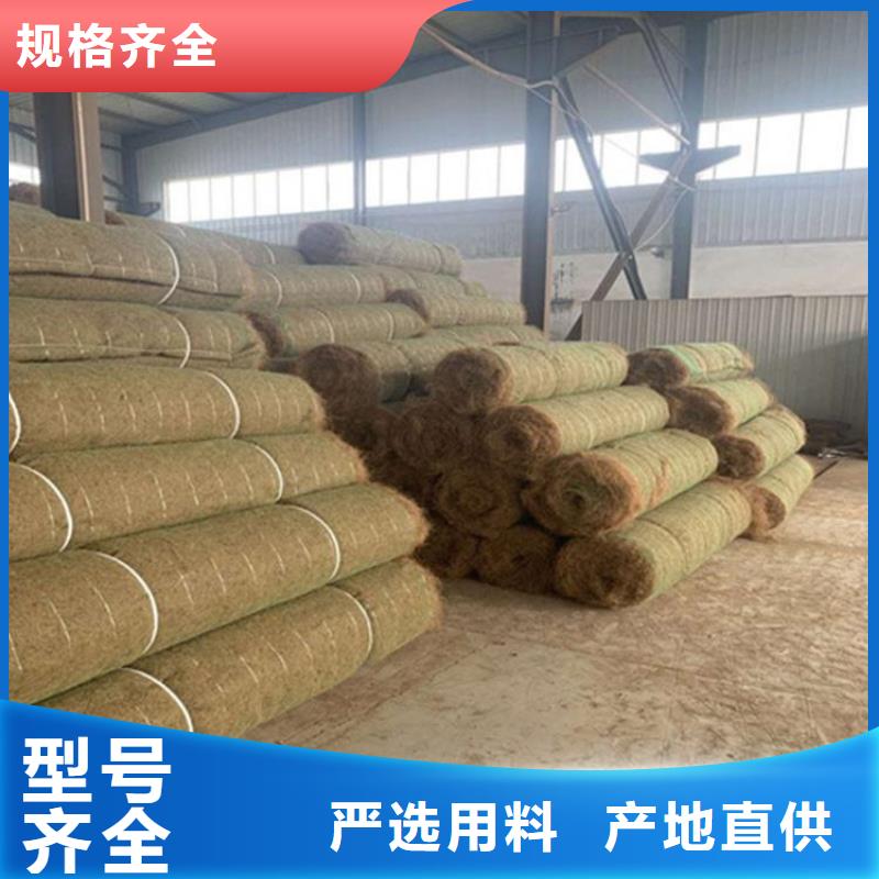 椰丝植生毯-椰丝植生毯-草籽椰丝毯