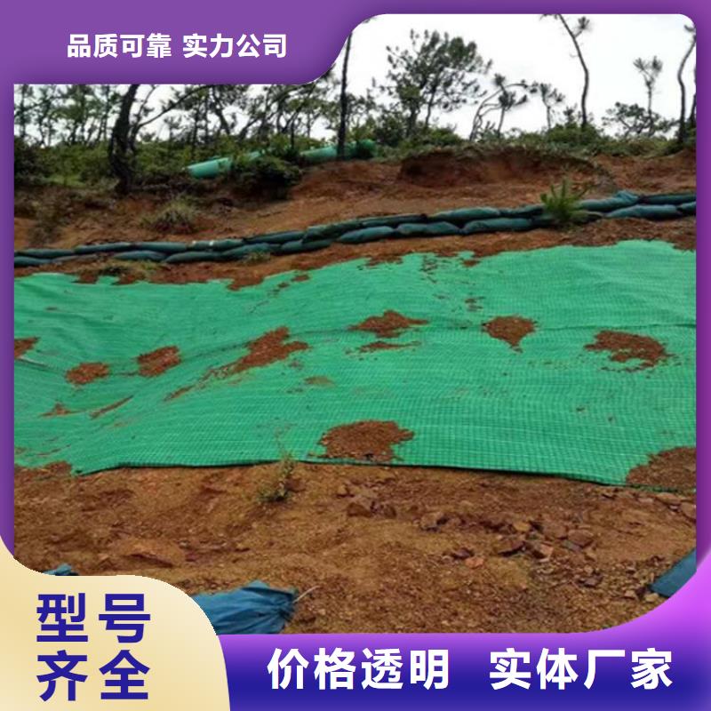 植物纤维毯加筋抗冲生物毯