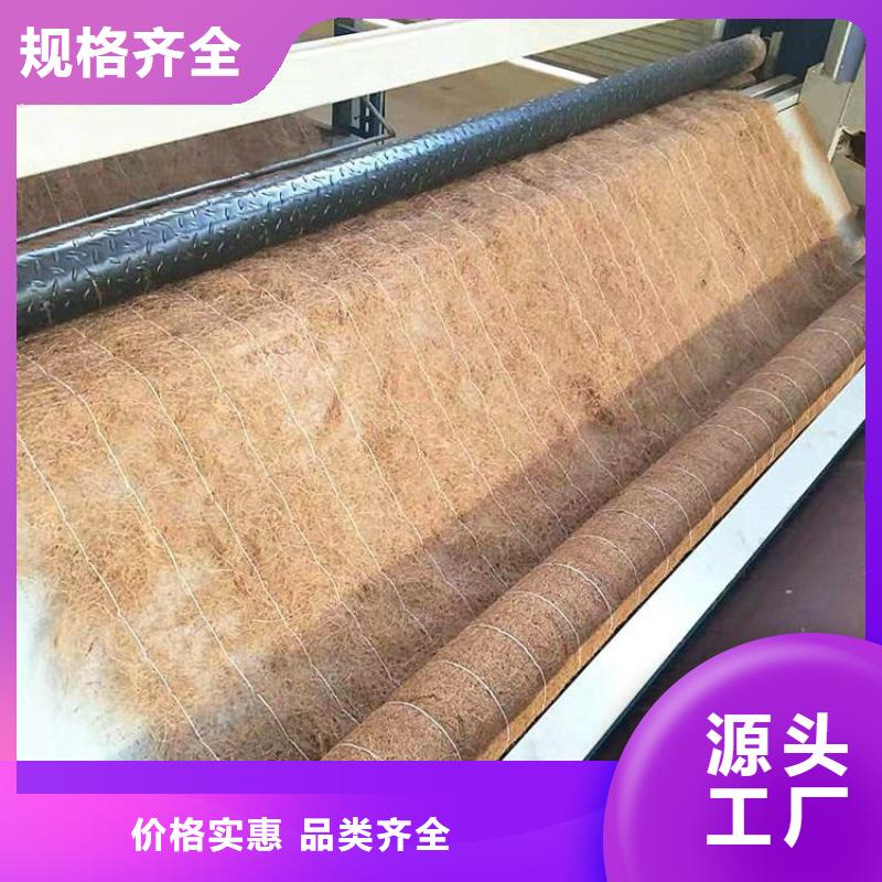 植生椰丝毯-河道护坡椰丝毯