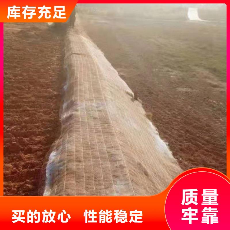 种草毯植物生态毯