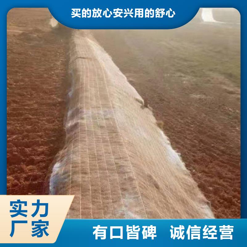 植生椰丝毯-河道护坡椰丝毯