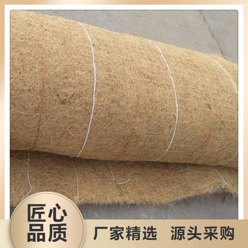 植物纤维毯加筋抗冲生物毯