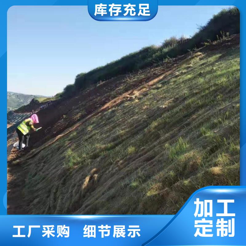 植物生态防护毯