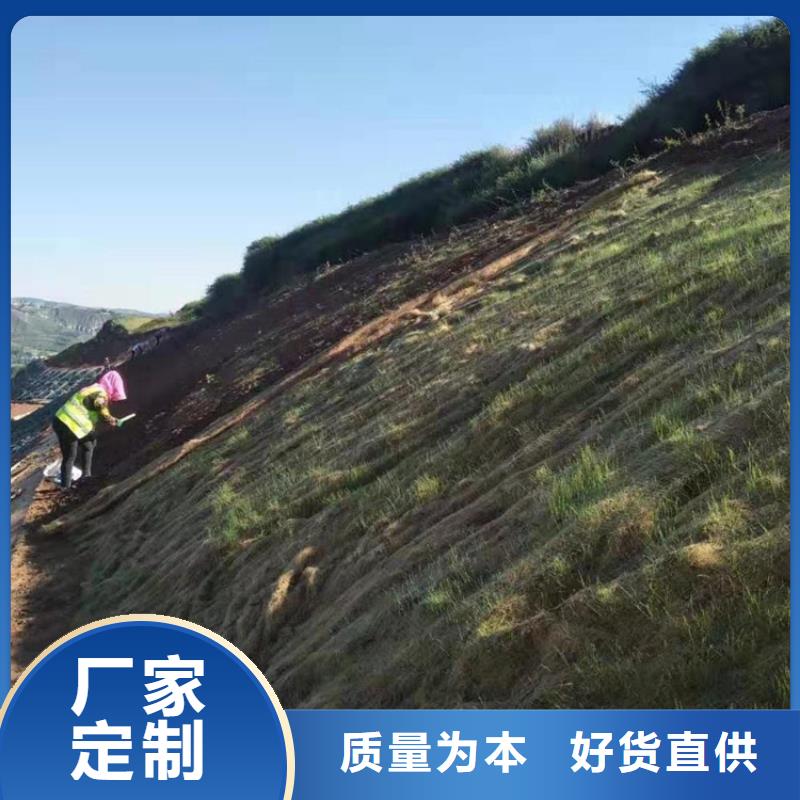 椰丝毯-绿化毯-抗冲椰丝毯