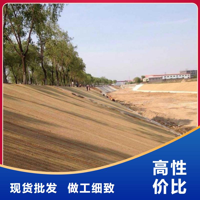 椰丝毯【土工布】现货销售