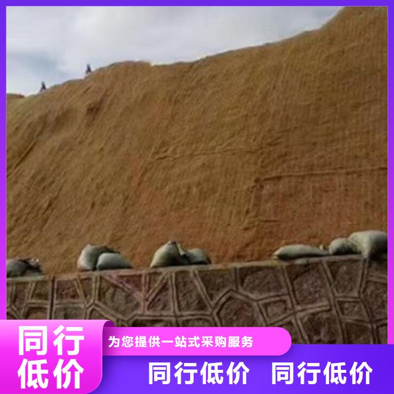 椰丝植生毯-椰纤植生毯-生态草毯