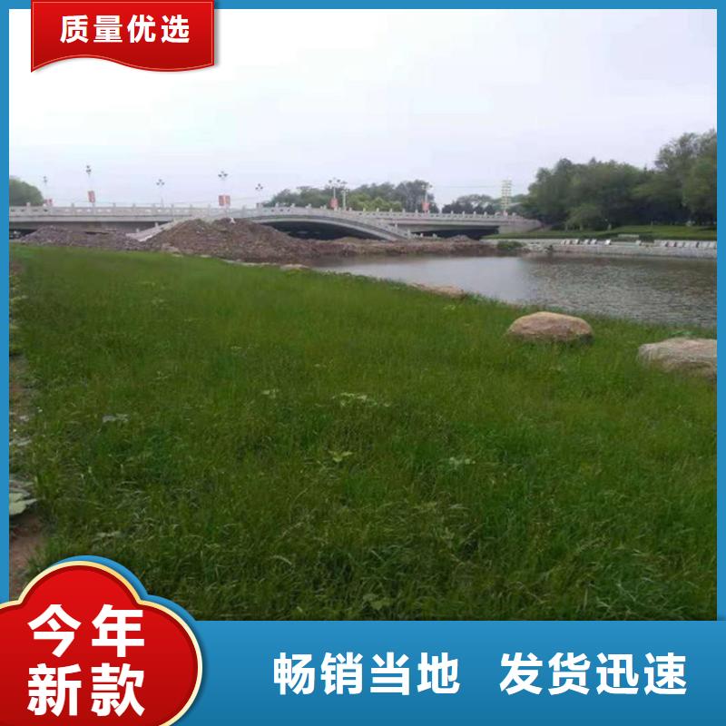 加筋抗冲生态毯-护坡抗冲植草毯