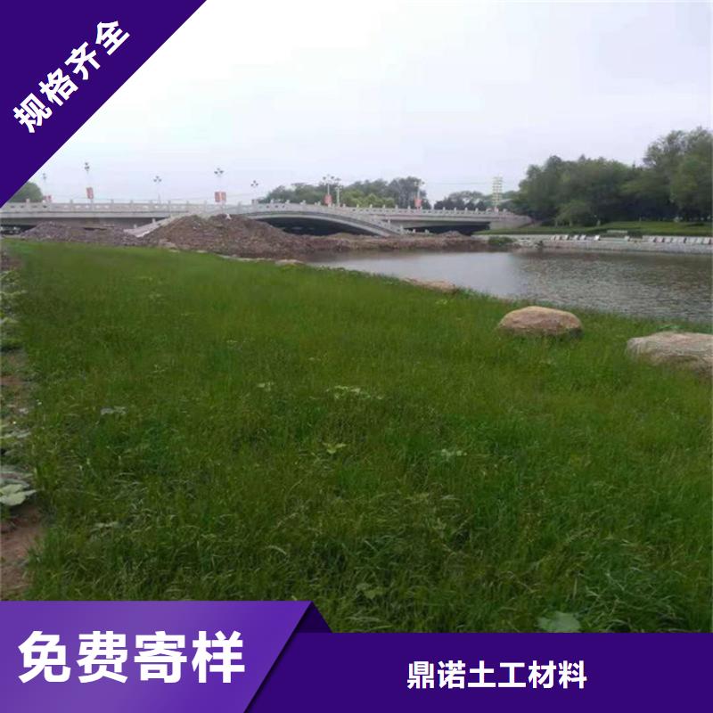 护坡植被植草毯渗排水-防渗