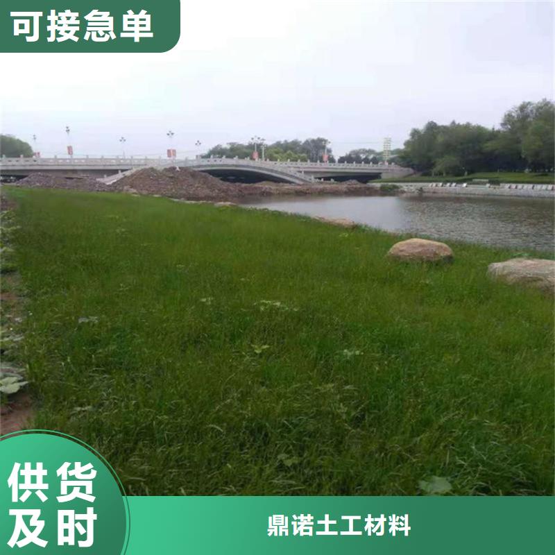 椰纤植生毯-绿化毯