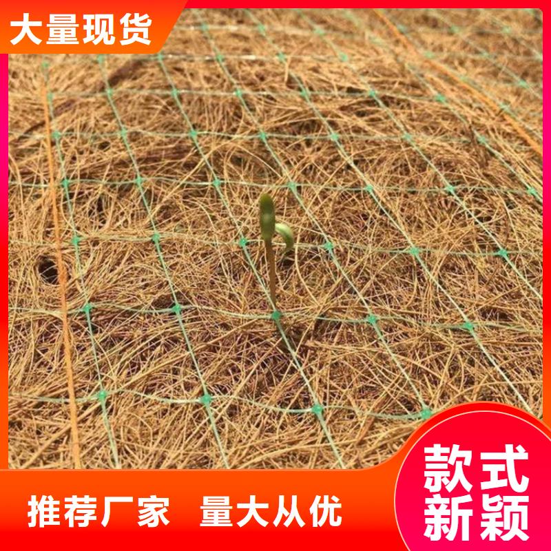 护坡植被植草毯渗排水-防渗