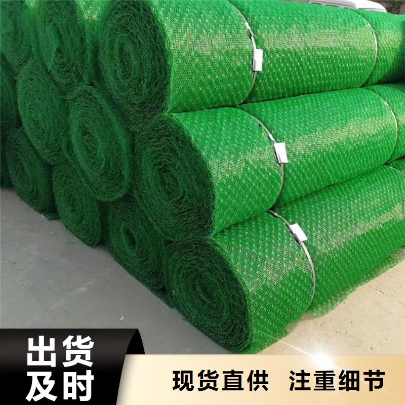 EM5草皮三维土工网垫