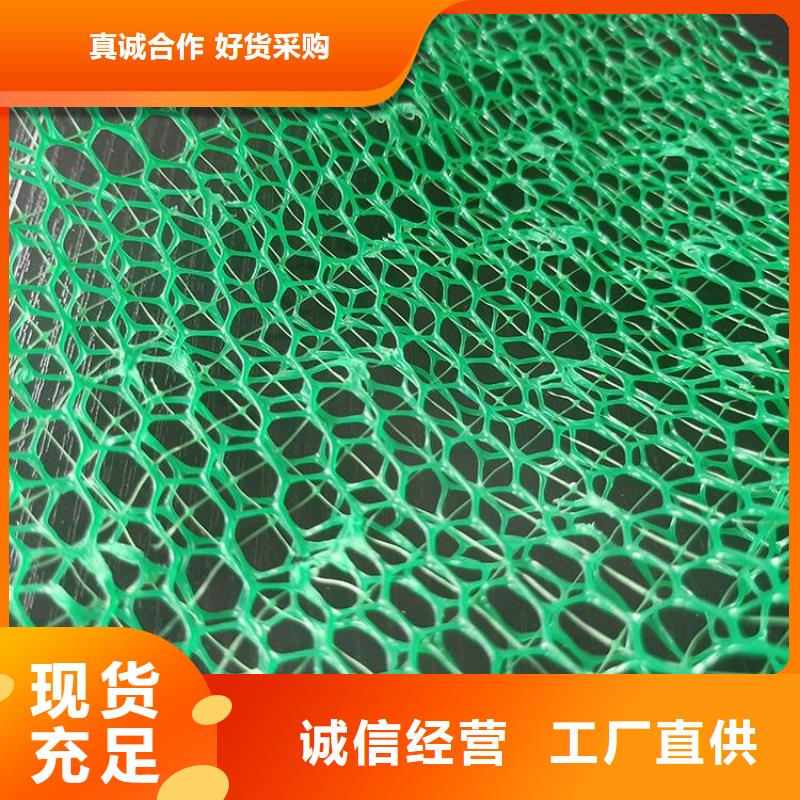 三维植被网土工布库存量大