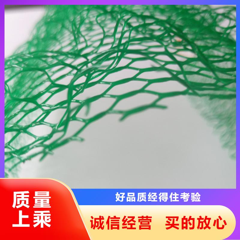 【三维植被网-HDPE土工膜厂家直销】