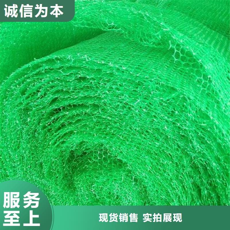 三维植被网土工布库存量大