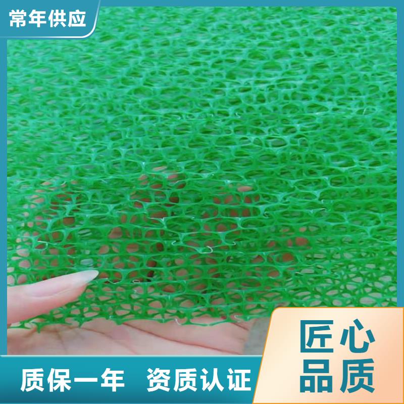 EM5草皮三维土工网垫