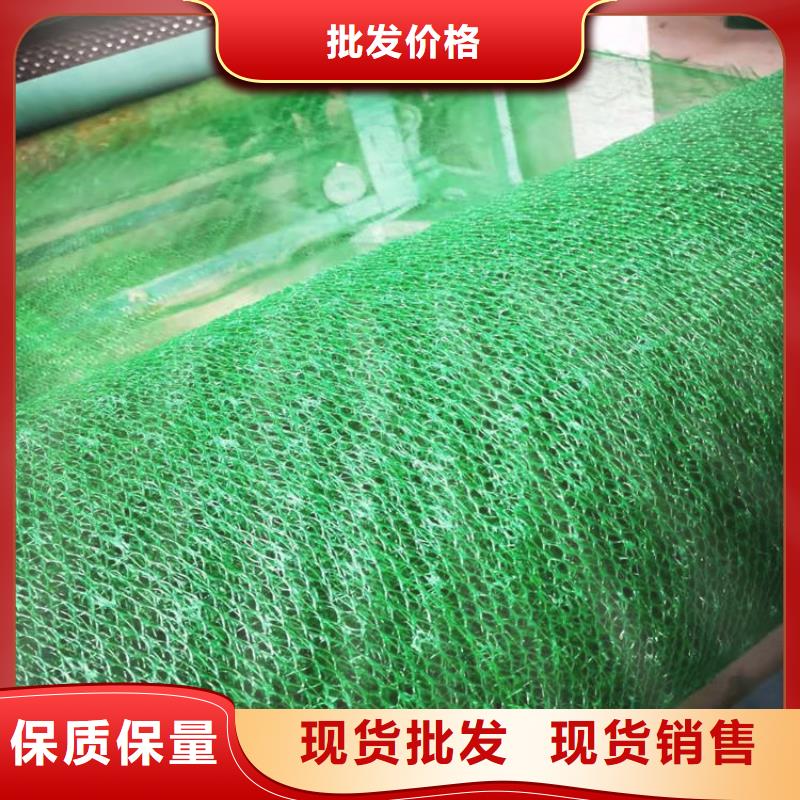 三维固土网垫EM2三维植被网