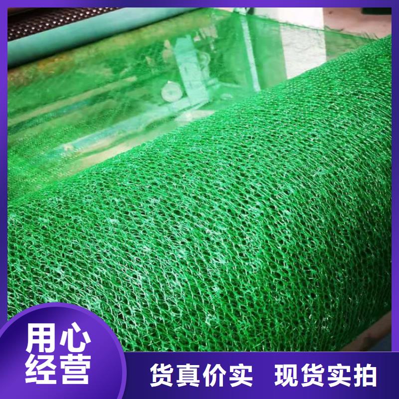 三维植被网-EM3三维植被网
