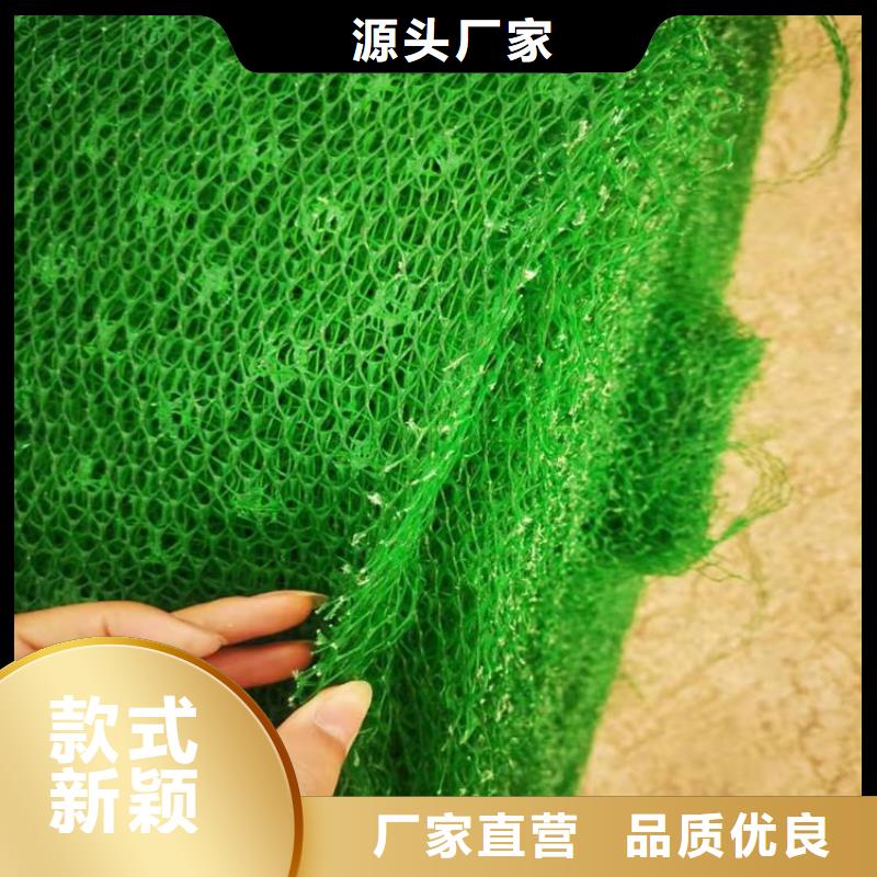 EM5草皮三维土工网垫