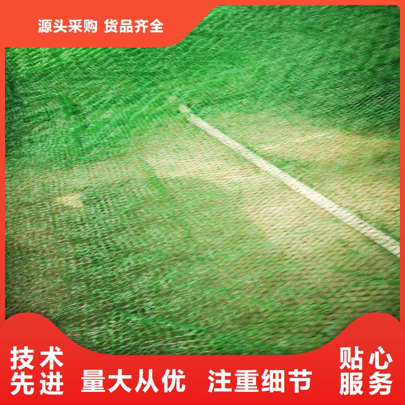 三维固土网垫EM2三维植被网