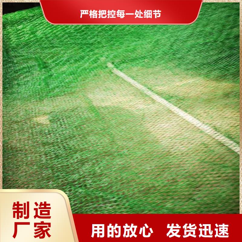 【三维植被网-HDPE土工膜厂家直销】