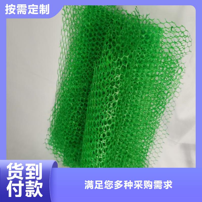 三维植被网土工布库存量大