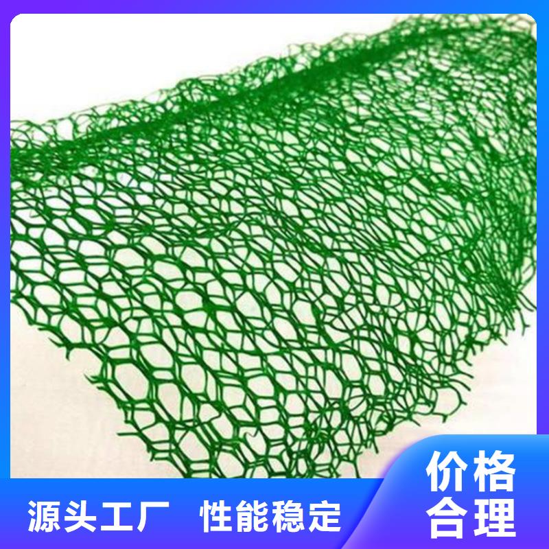 EM5草皮三维土工网垫