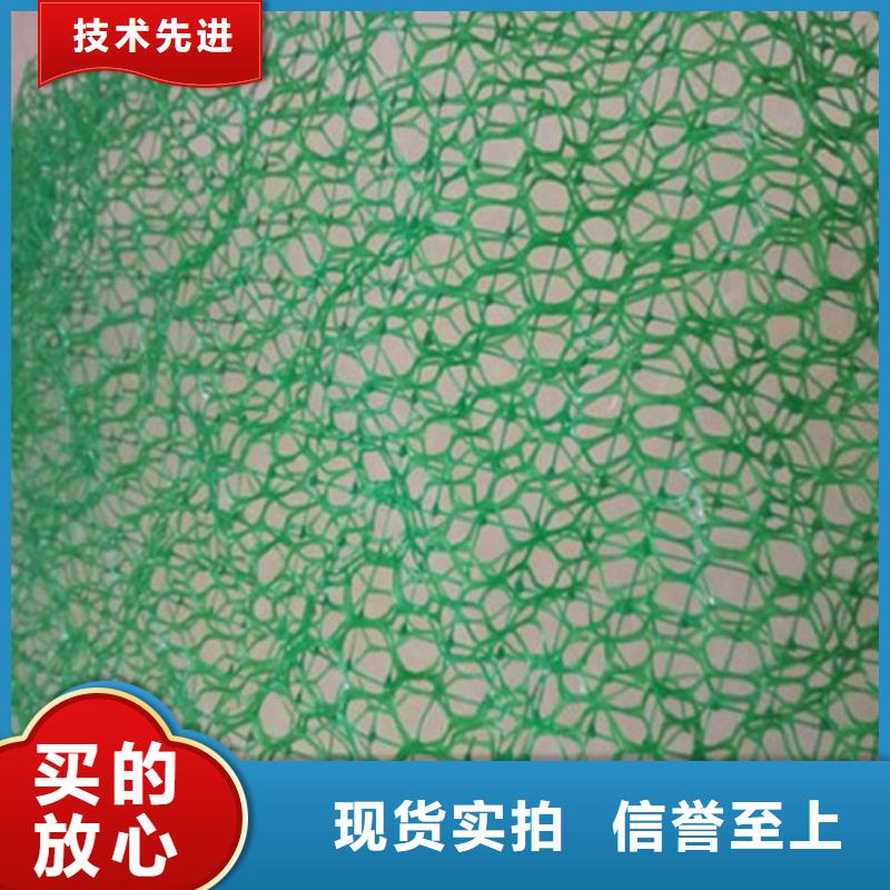 三维植被网-三维土工网