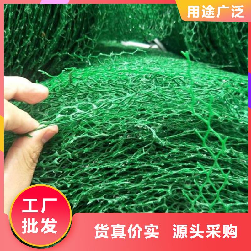 三维固土网垫EM2三维植被网