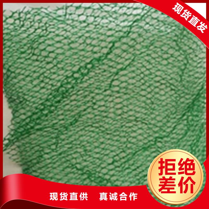 三维植被网土工布库存量大