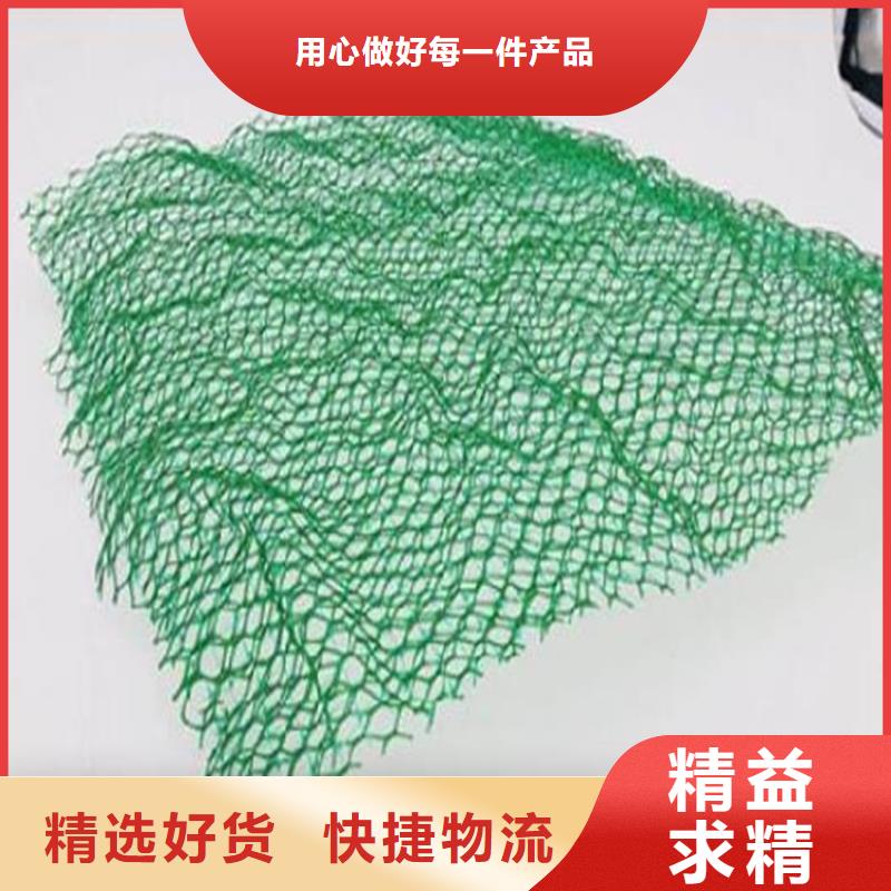 三维固土网垫EM2三维植被网