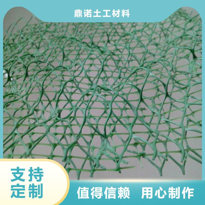 三维植被网-三维土工网
