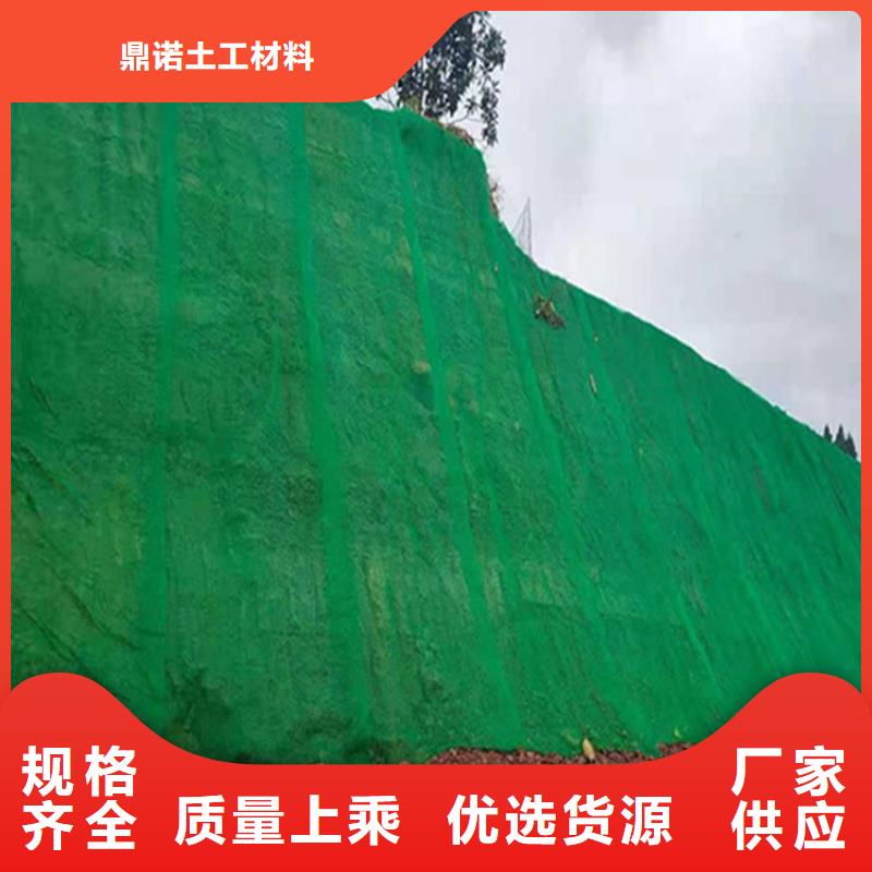 三维植被网-三维土工网